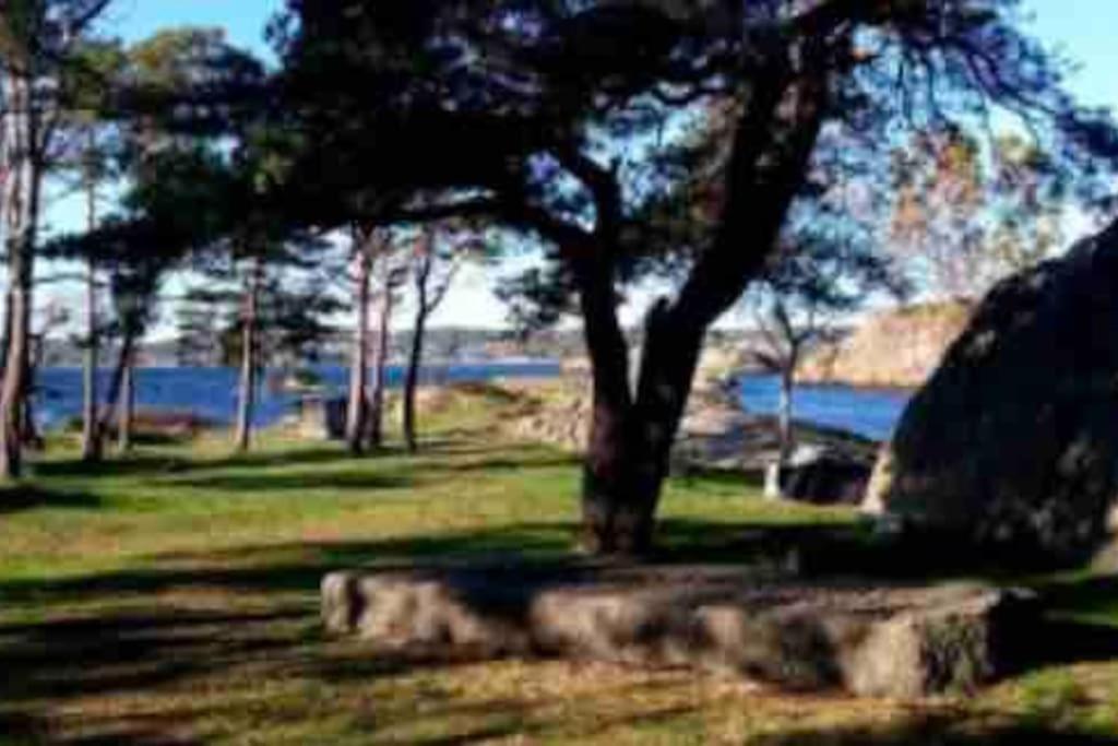 Idyllisk Lite Anneks Med Enestaende Uteplass Larvik Buitenkant foto